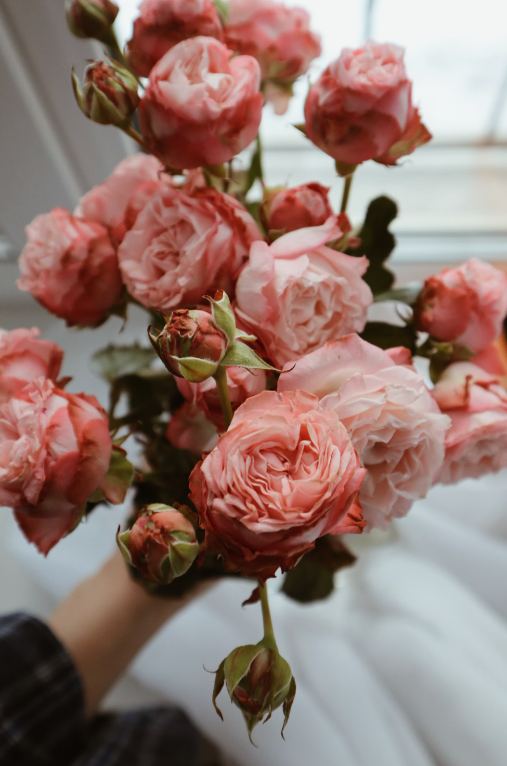 A Must-Watch List of Movies for Flower Lovers