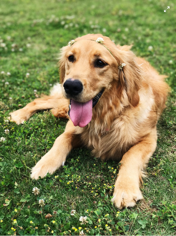 Eco-Friendly Mother's Day Gift Ideas