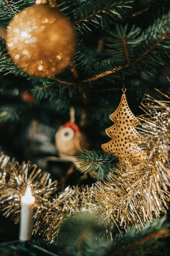 New Year Flowers: A Meaningful Gift of Happiness