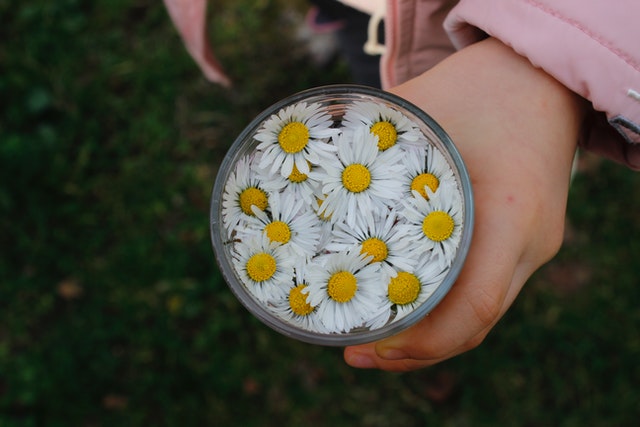 The Best Types of Flowers to Give Your Girl in the Summer