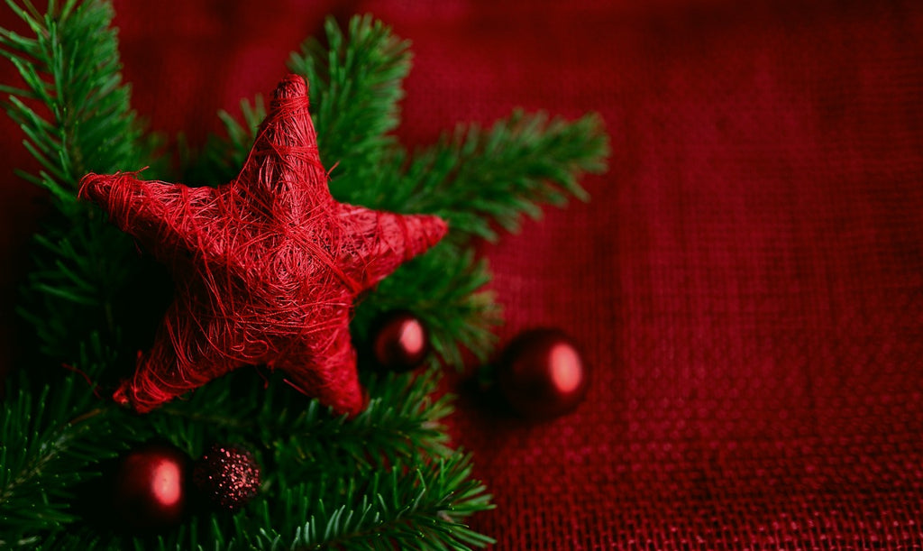 Christmas Flower Bouquets: Special Ideas You Don’t Want to Miss