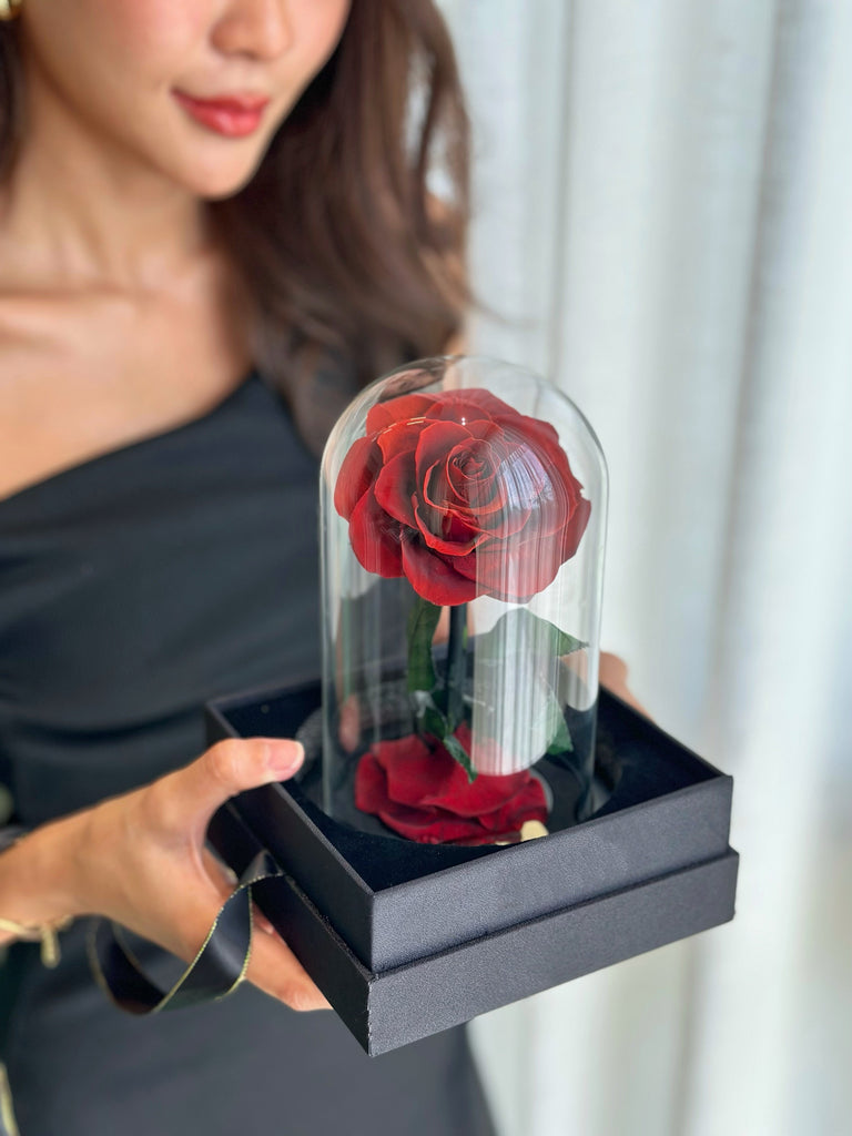 Why Red Roses? The History and Meaning Behind Valentine’s Favorite Flower