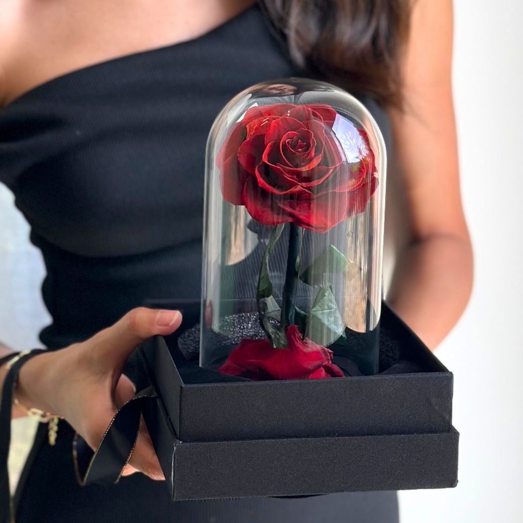 "Forever Love" Red Preserved Rose (H 22cm x W 15cm) รักนิรันดร์ - Valentine's Collection Phuket